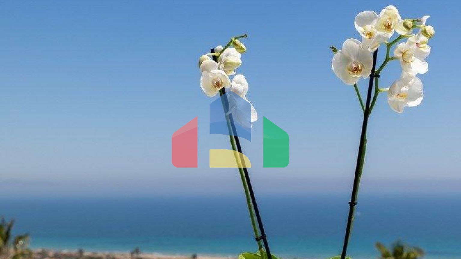 НОВЫЕ КВАРТИРЫ НА ПРОДАЖУ, В 20 МИНУТАХ ОТ АЛИКАНТЕ и ЭЛЧЕ, КОСТА-БЛАНКА