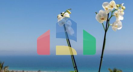 НОВЫЕ КВАРТИРЫ НА ПРОДАЖУ, В 20 МИНУТАХ ОТ АЛИКАНТЕ и ЭЛЧЕ, КОСТА-БЛАНКА