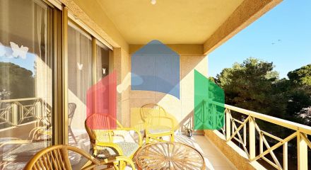 Apartments in Orihuela Costa ID B10767