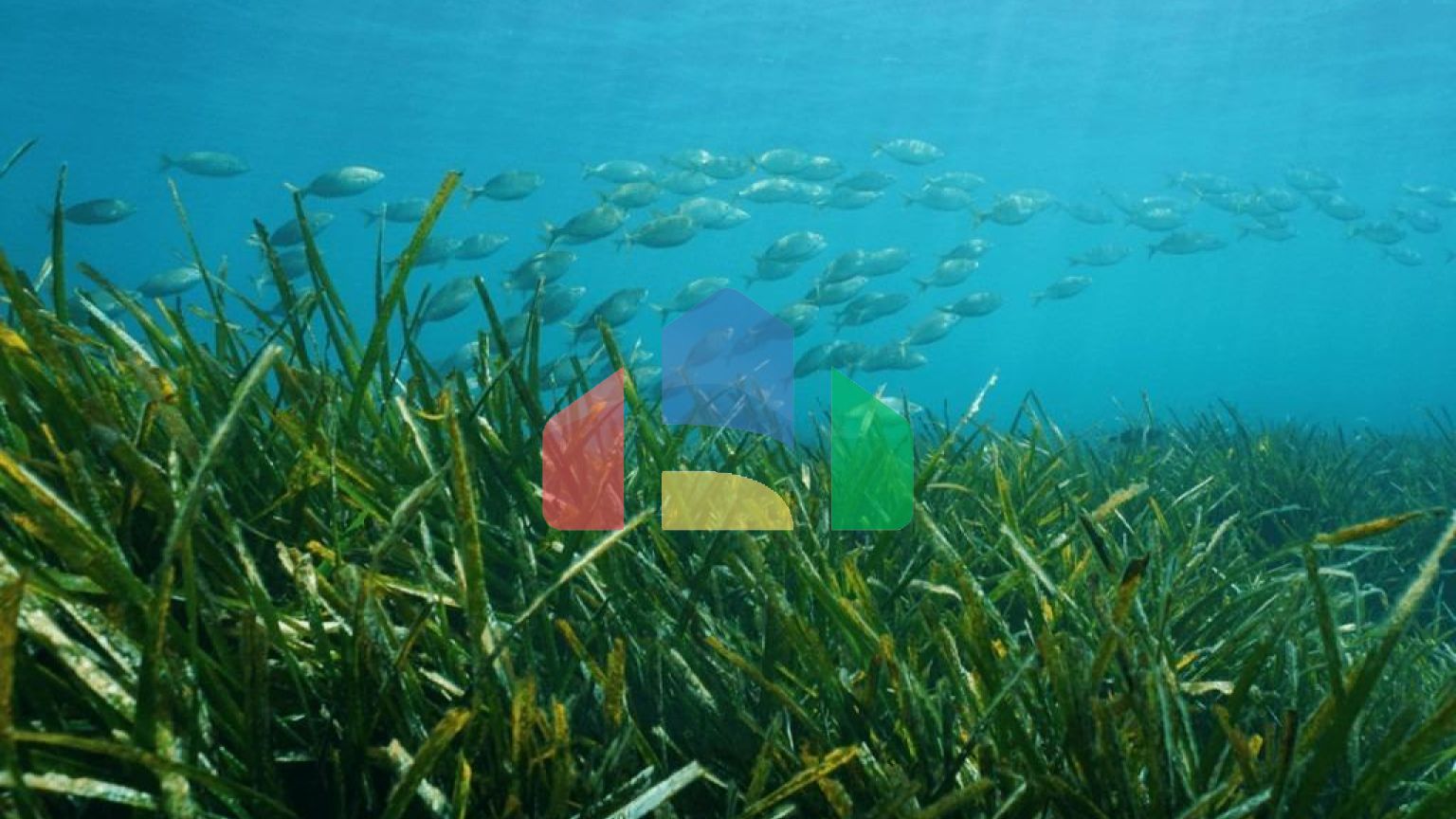 Роскошная авангардная вилла с видом на море в Бенисса Коста