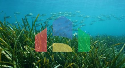 Роскошная авангардная вилла с видом на море в Бенисса Коста