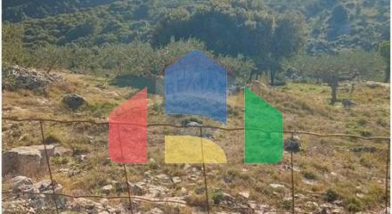 Residential - Plot of Land for Agriculture - Supetar, Croatia - HR