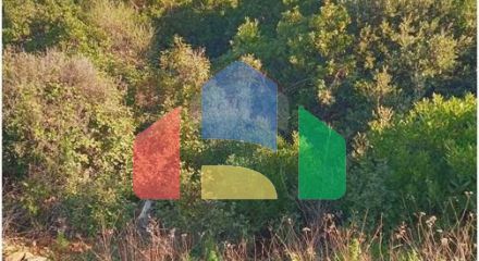 Residential - Plot of Land for Agriculture - Supetar, Croatia - HR