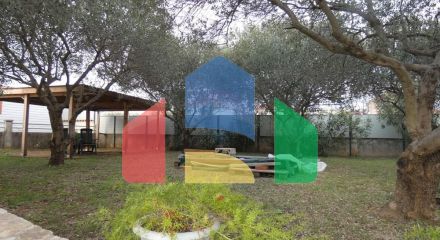 Residential - Duplex - Sveti Filip I Jakov, Croatia - HR