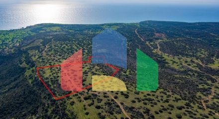 Продажа - Земельный участок 40135 m² в Лимассоле