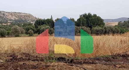 Продажа - Земельный участок 24500 m² в Лимассоле