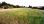 For Sale - Land 301 m² in Limassol