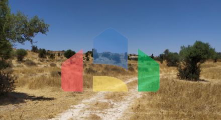 Field in Analiontas, Nicosia