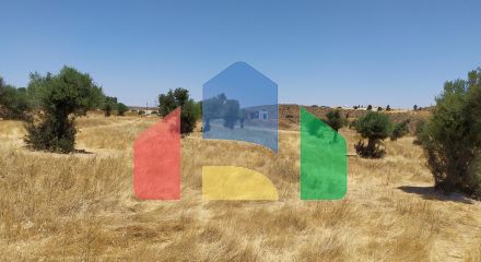 Field in Analiontas, Nicosia