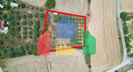 For Sale - Land 2342 m² in Nicosia