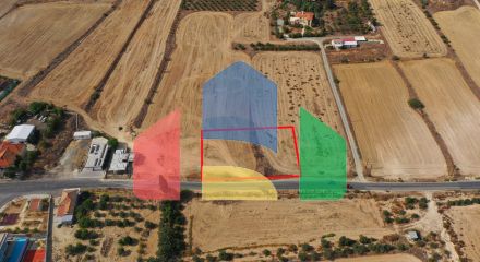 Shared fields in Geri, Nicosia