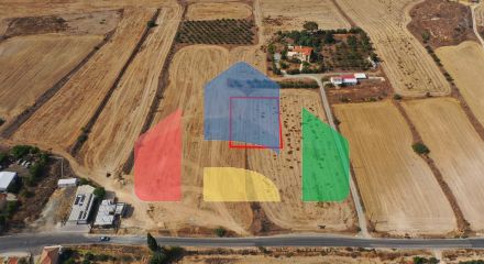 Shared fields in Geri, Nicosia