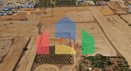 Shared fields in Geri, Nicosia