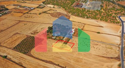 Shared fields in Geri, Nicosia