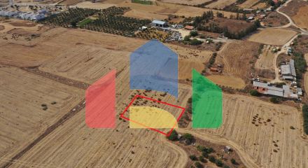 Shared fields in Geri, Nicosia