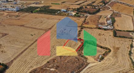 Shared fields in Geri, Nicosia