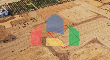 Shared fields in Geri, Nicosia