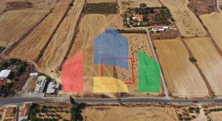 Shared fields in Geri, Nicosia