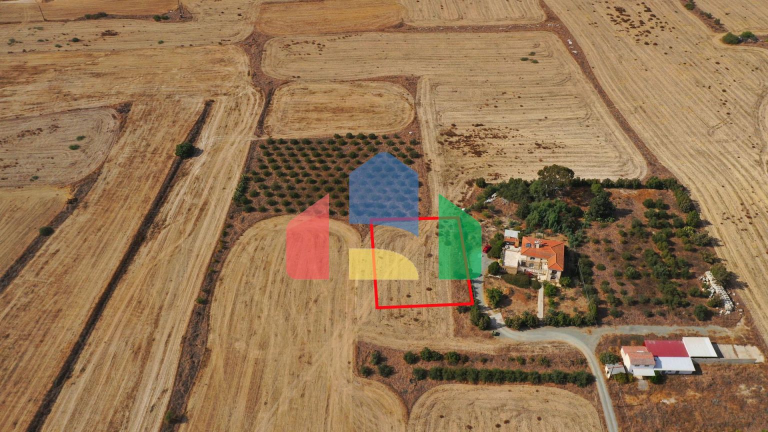 Shared fields in Geri, Nicosia