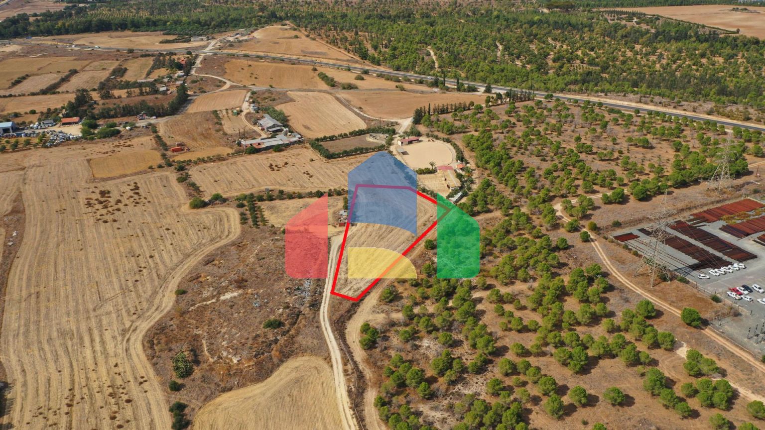 Shared fields in Geri, Nicosia