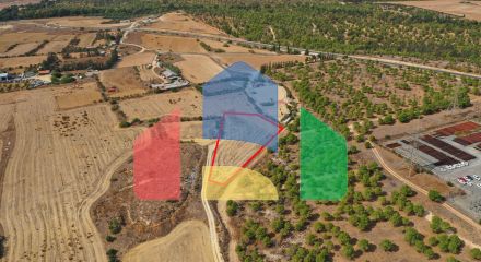 Shared fields in Geri, Nicosia