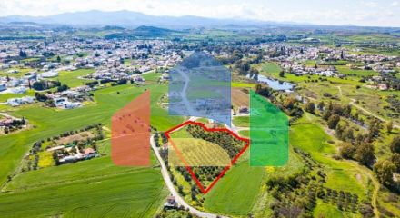 Share of Field in Dali, Nicosia.
