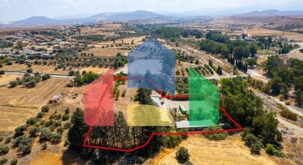 Продаж - Бізнес 890 m² В Никосии