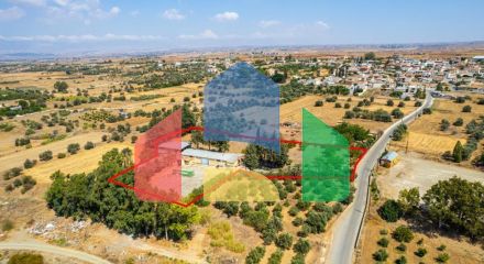 Продаж - Бізнес 890 m² В Никосии