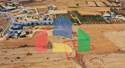 Shared fields in Geri, Nicosia