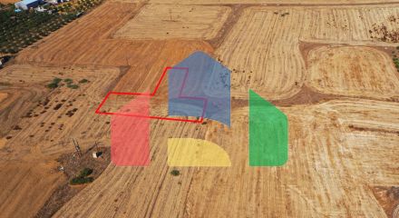 Shared fields in Geri, Nicosia