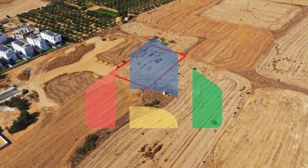 Shared fields in Geri, Nicosia