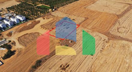 Shared fields in Geri, Nicosia