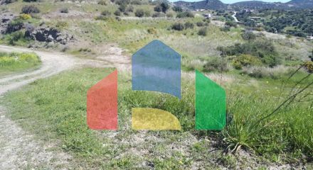 Продажа - Земельный участок 4240 m² в Никосии