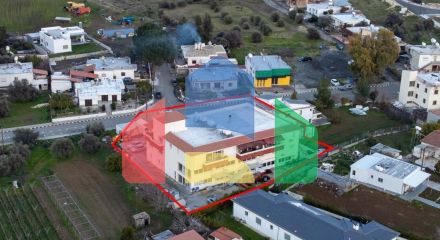 Продажа - Бизнес 1131 m² в Никосии