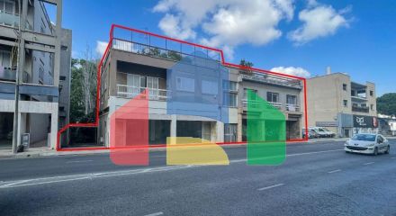 Продажа - Бизнес 496 m² в Никосии