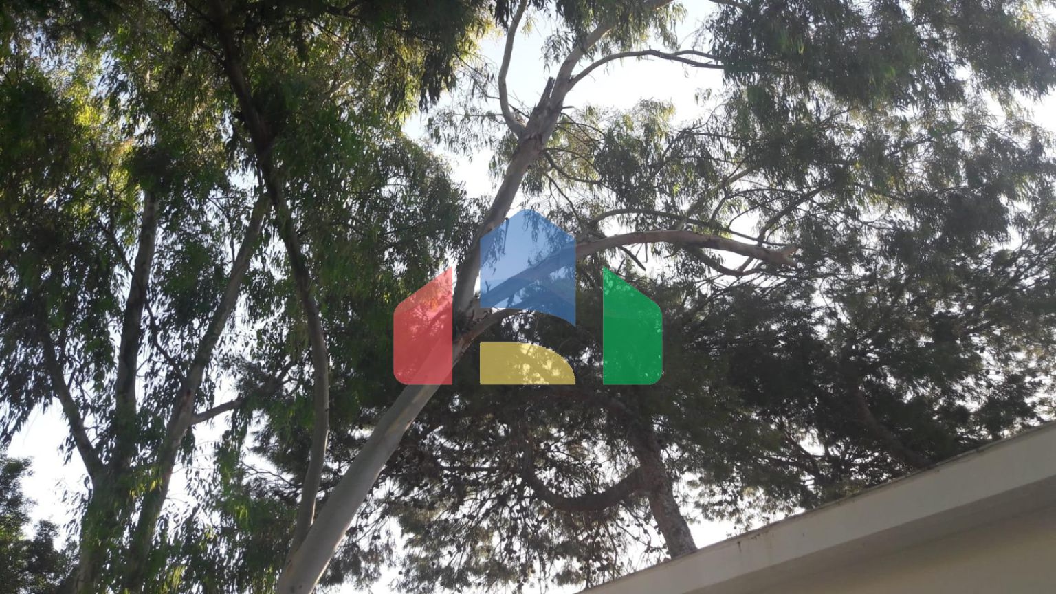 Дом в Эль Кампельо ID 72709