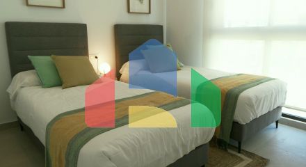 14 duplex homes in Pilar de la Horadada