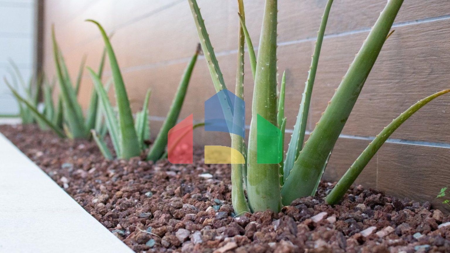 Потрясающие виллы в Лос-Монтесиносе