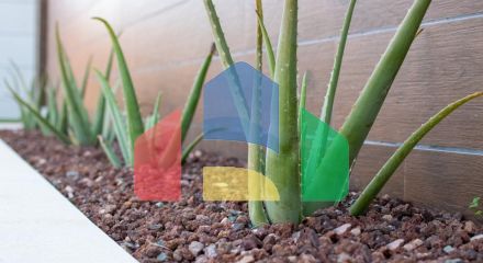 Потрясающие виллы в Лос-Монтесиносе