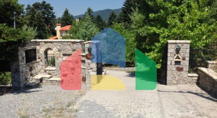 For Sale - Business 234 m² in Arachova