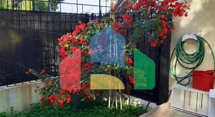 Продаж - Котедж 370 m² в Афінах