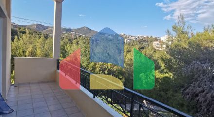 Продажа - Коттедж 250 m² в Афинах Продажа - Коттедж 250 m² в Афинах