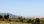 For Sale - Land 22000 m² in Athens