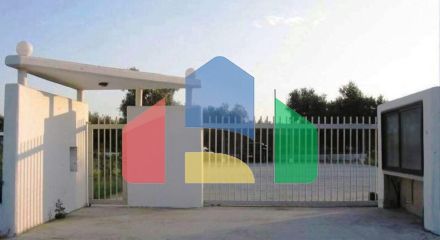 Продаж - Бізнес 640 m² на Родосі