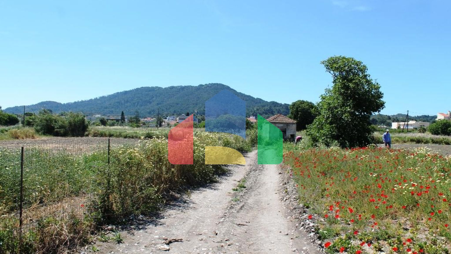 Продаж - Земельна ділянка 18755 m² на Родосі