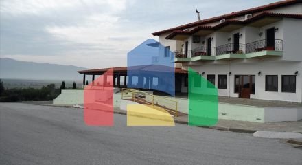 Продажа - Гостиница 1688 m² в Серресе