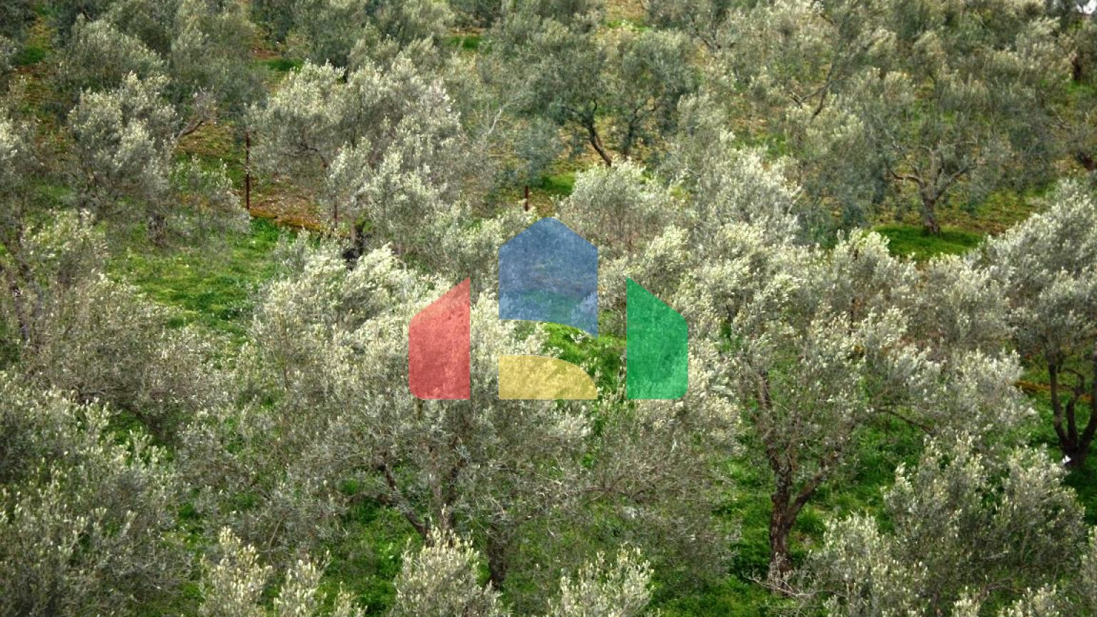 Продажа - Здание 1700 m² в Салониках