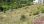 For Sale - Land 2500 m² in Thessaloniki