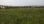 Продажа - Земельный участок 4960 m² в Салониках