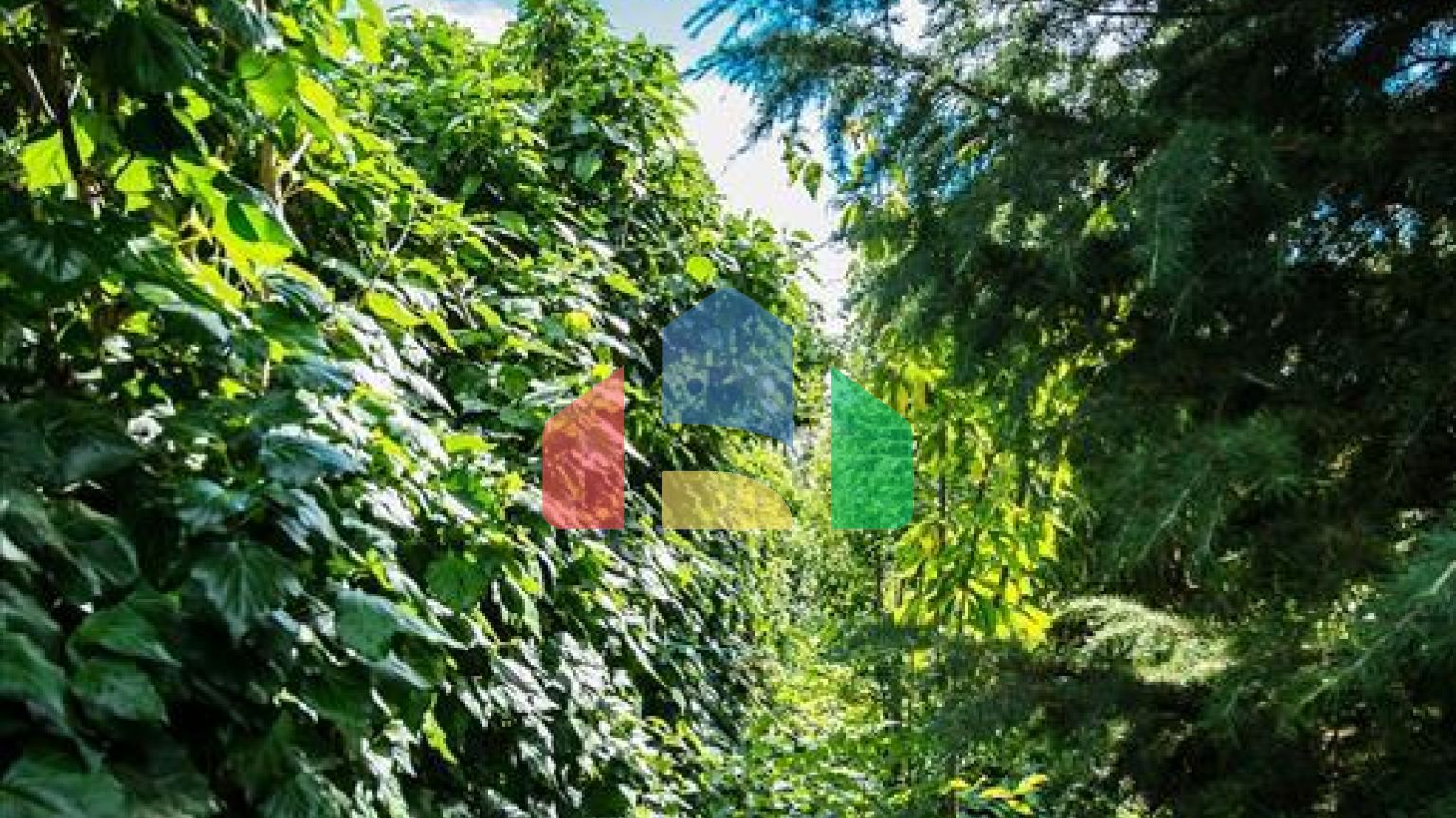 Продажа - Вилла 800 m² в Салониках